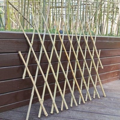 เสาไม้ไผ่ยืดได้ Trellis รั้วสวนสำหรับตกแต่งระเบียง 120*180ซม