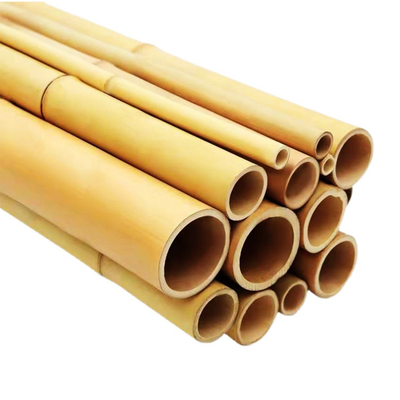 เสาไม้ไผ่ดิบจากธรรมชาติ 100% สำหรับการก่อสร้างสวนและการตกแต่ง ไม้ไผ่ Canes/Stakes คุณภาพสูงสุด