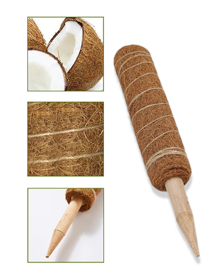 ชุดเสาโทเท็ม Coir Moss ขนาด 44 ซม. สำหรับพืชปีนเขาและรองรับต้นมะพร้าว