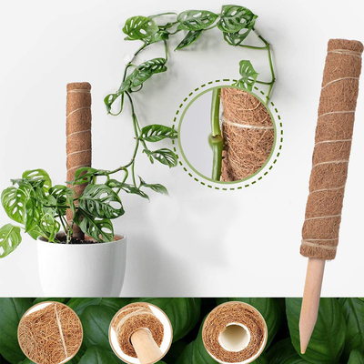 ชุดเสาโทเท็ม Coir Moss ขนาด 44 ซม. สำหรับพืชปีนเขาและรองรับต้นมะพร้าว