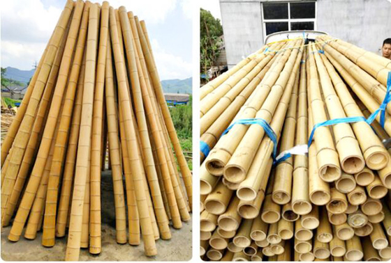 เสาไม้ไผ่ดิบ 250 ซม. เสาไม้ไผ่สำหรับตกแต่งพืช