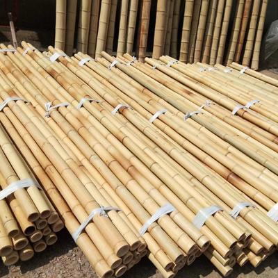 แท่งไม้ไผ่สวนธรรมชาติสำหรับในร่มกลางแจ้งมะเขือเทศกระถางต้นไม้สนับสนุนเงินเดิมพัน