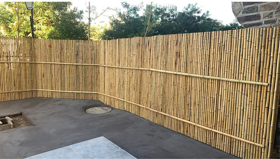 Backyard ตกแต่งรั้วไม้ไผ่ Tonkin ไม้ไผ่ 1.5m รั้วสวนกลางแจ้ง