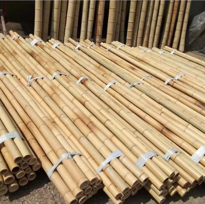 เสาไม้ไผ่ Moso ดิบธรรมชาติ 2 ซม. 3 ซม. 4 ซม. 5 ซม. 6 ซม. 8 ซม. 10 ซม. เส้นผ่านศูนย์กลาง