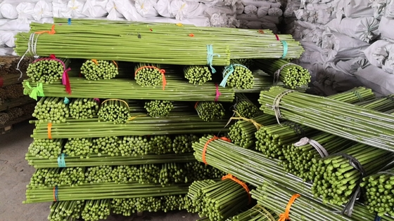 40 ซม. 60 ซม. 90 ซม. 120 ซม. ความยาว เสาไม้ไผ่สีเขียว จิตรกรรม Green