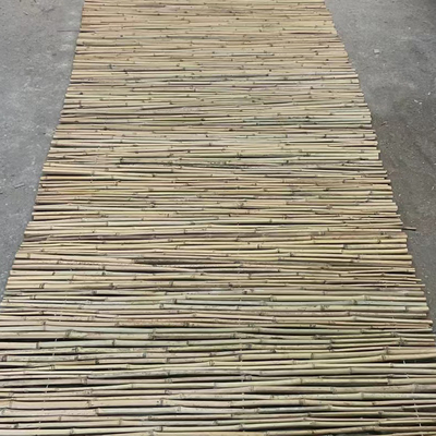 รั้วสวน ของตกแต่งบ้าน เสาไม้ไผ่ดิบ Tonkin Solid Bamboo Poles