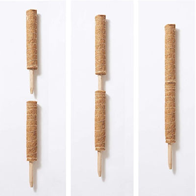 เสาขั้วมอสสำหรับไม้เลื้อย 30ซม. 40ซม. 60ซม. 90ซม. เสาค้ำยันโทเทมจากใยมะพร้าวธรรมชาติ