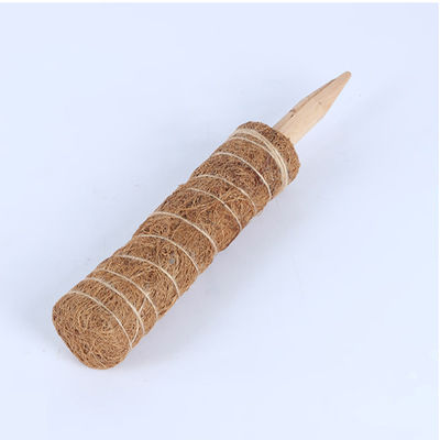 เสาขั้วมอสสำหรับไม้เลื้อย 30ซม. 40ซม. 60ซม. 90ซม. เสาค้ำยันโทเทมจากใยมะพร้าวธรรมชาติ