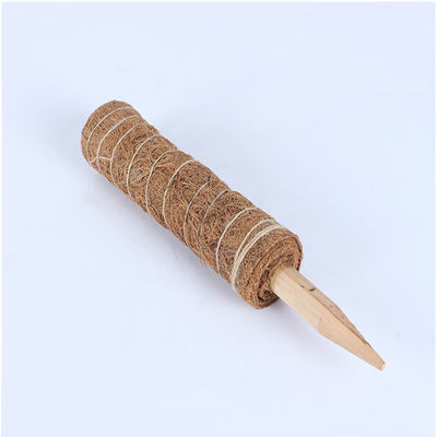 เสาขั้วมอสสำหรับไม้เลื้อย 30ซม. 40ซม. 60ซม. 90ซม. เสาค้ำยันโทเทมจากใยมะพร้าวธรรมชาติ