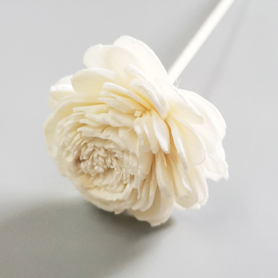 น้ำหอมปรับอากาศบ้าน Reed Diffuse Dry Sola Flower Reed Diffuser with Cotton Wick
