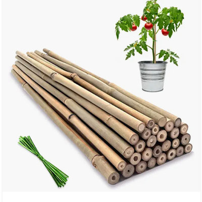 Moso Row เสาไม้ไผ่ Canes Stakes Sticks Farming Supporting Gardening Decoration