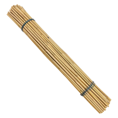 Moso Row เสาไม้ไผ่ Canes Stakes Sticks Farming Supporting Gardening Decoration