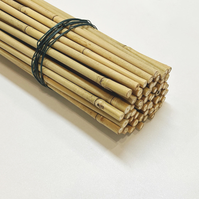 Moso Row เสาไม้ไผ่ Canes Stakes Sticks Farming Supporting Gardening Decoration