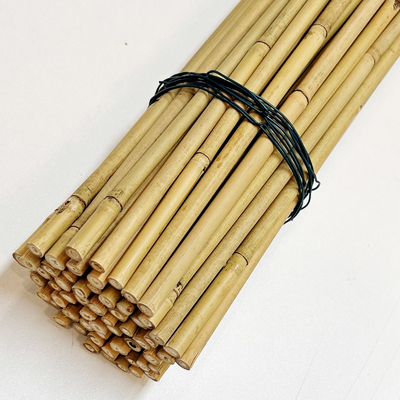 ไม้ไผ่ธรรมชาติวัตถุดิบไม้ไผ่เดิมพัน 40 ซม. 60 ซม. 90 ซม. ยาว 6 มม. เส้นผ่าศูนย์กลาง