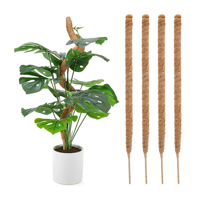 ชุดเสาโทเท็ม Coir Moss ขนาด 44 ซม. สำหรับพืชปีนเขาและรองรับต้นมะพร้าว