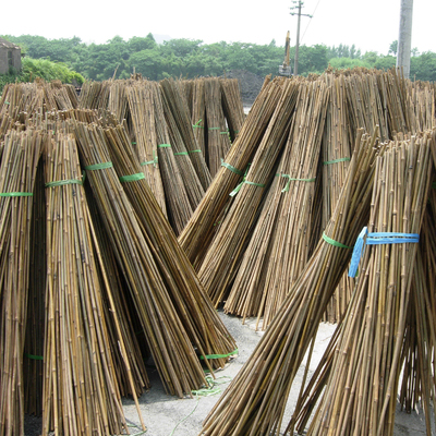 รั้วสวน ของตกแต่งบ้าน เสาไม้ไผ่ดิบ Tonkin Solid Bamboo Poles