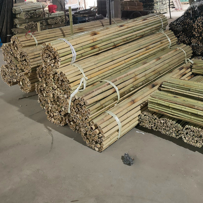 รั้วสวน ของตกแต่งบ้าน เสาไม้ไผ่ดิบ Tonkin Solid Bamboo Poles