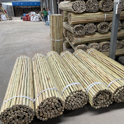 รั้วสวน ของตกแต่งบ้าน เสาไม้ไผ่ดิบ Tonkin Solid Bamboo Poles