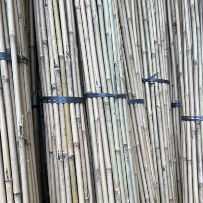 รั้วสวน ของตกแต่งบ้าน เสาไม้ไผ่ดิบ Tonkin Solid Bamboo Poles