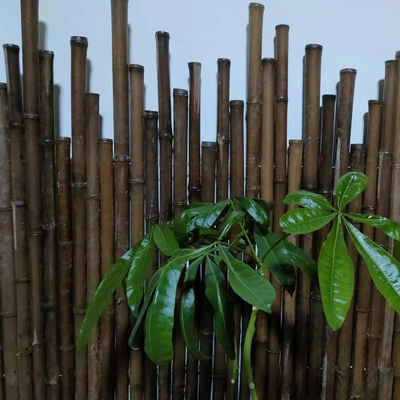 เสาไม้ไผ่ดิบ 3 ฟุต Sticks ภาพวาดถ่านธรรมชาติสีดำ 595 ซม. สำหรับตกแต่ง