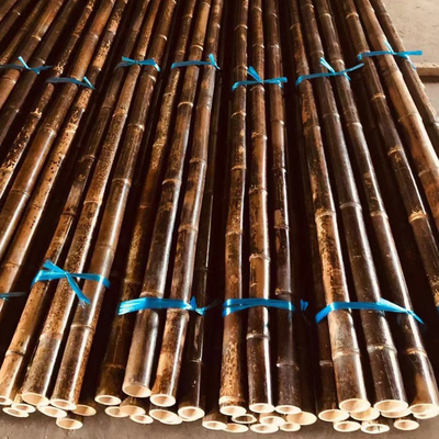 เสาไม้ไผ่ดิบ 3 ฟุต Sticks ภาพวาดถ่านธรรมชาติสีดำ 595 ซม. สำหรับตกแต่ง