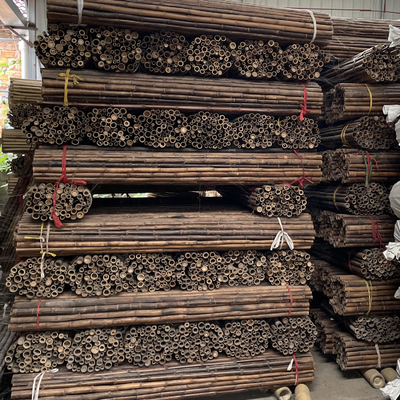 ไม้ไผ่เคลือบสีป้องกันเชื้อรา Tonkin Plant Tonkin Carbonized 250cm