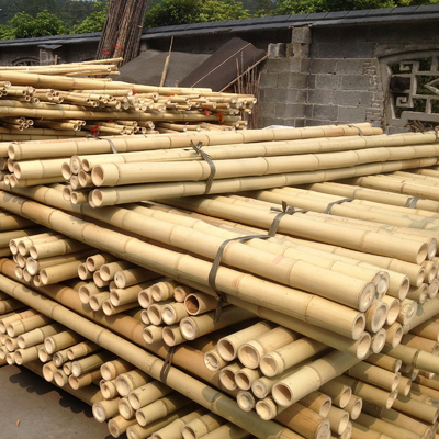 เสาไม้ไผ่ดิบจากธรรมชาติ 100% สำหรับการก่อสร้างสวนและการตกแต่ง ไม้ไผ่ Canes/Stakes คุณภาพสูงสุด