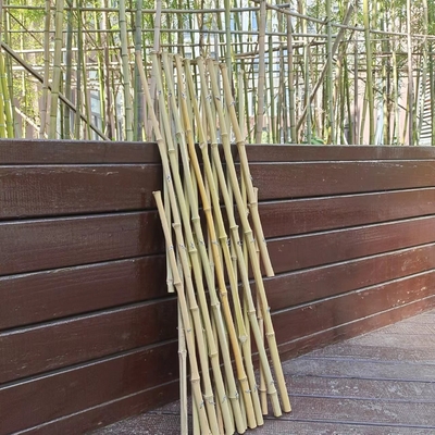 เสาไม้ไผ่ยืดได้ Trellis รั้วสวนสำหรับตกแต่งระเบียง 120*180ซม