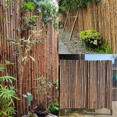รั้วไม้ไผ่สีดำธรรมชาติขนาด 180 ซม. 240 ซม. สำหรับตกแต่งสวนฟันดาบ Wall