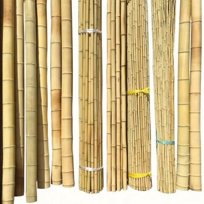 เมืองไม้ยางธรรมชาติ สีเหลือง สีดํา ไม้ยางที่ได้รับการรักษาแบบแห้ง