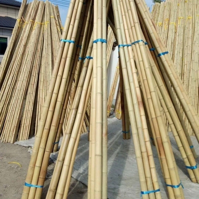 Wholesale Nature Raw Tonkin Yellow Bamboo Pole Cane Material สําหรับเครื่องประดับและพืชที่เติบโต