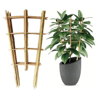 จําหน่ายโดยตรงจากโรงงาน ทําด้วยมือ 24 นิ้ว ไม้ยาง U Trellis Hoop Stakes สําหรับสวน