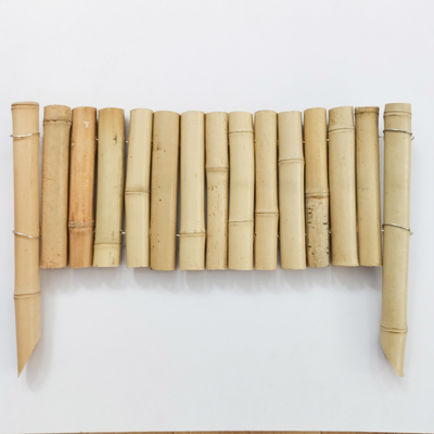 รั้ว แปลง แปลง สีธรรมชาติ ที่ สวยงาม สําหรับ รอบสวน ที่สวยงาม