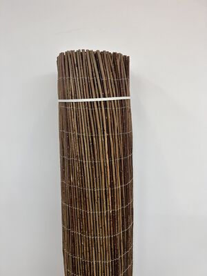 ความชื่นชอบที่ไม่มีเวลาของต้นป่า ราคาถูกที่จะเป็นประตูสู่โอเอซิสที่สงบ