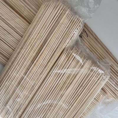 ยกระดับสวนของคุณอย่างเป็นธรรมชาติด้วยต้นไผ่ระดับพรีเมียม