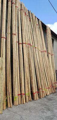 สะดวกต่อสิ่งแวดล้อม การตกแต่ง ไม้ยางดิบ Dia0.8cm x 100cm ความยาว
